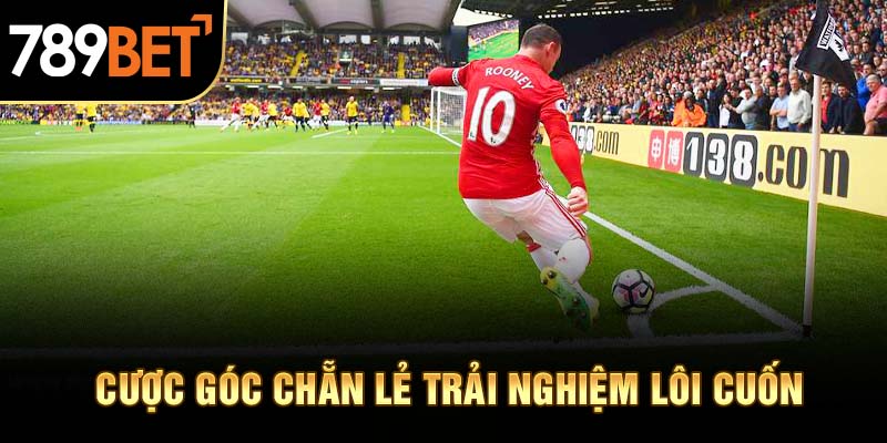 Cược góc chẵn lẻ trải nghiệm lôi cuốn